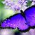 Kelly Gail Johnson's profile image