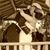 Kaylla Powell's profile image