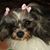 Michelle Wise's profile image