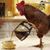 Deborah Lynn Schultz's profile image