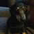 Carol Leffert's profile image