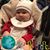 Paula L. Shea's profile image