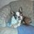 Beverly Hughes's profile image