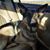 Kyle Andrew Gosman's profile image