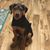Jeanie Weeks Milstead's profile image