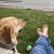 Diane Johnson McLean's profile image