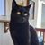 Waynette Lucero-Asbury's profile image