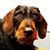 Ed Felker's profile image