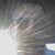 Yonus Ahmad's profile image