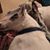 Danielle R Otterson's profile image