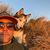 Joseph Hasselmann's profile image