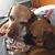 Jenifer Koehn Funk's profile image