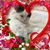 Teri Naser's profile image
