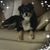 Melanie Anderson's profile image