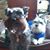 Laurie Conde-Eddy's profile image