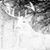 Dennis Bouwens's profile image