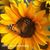 Ruth Quiles's profile image