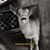 Wendy Lea's profile image