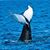 Deborah Hodges's profile image