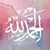 Dina Elnaggar's profile image