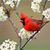 Patti Beal Knepp's profile image