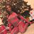 Kimberly McNeal-Coar's profile image