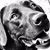 Tom Elton's profile image