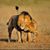 Vickie Struble's profile image