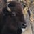 David Loveland's profile image