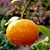 Gina Welch's profile image