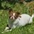 Marla Lucus Bice's profile image