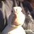 Rachael Berey Phillips's profile image