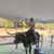 Michelle Myles Brown's profile image