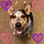 Amy Alvarez's profile image