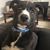 Dee Ann Arey's profile image