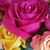 Leigh Smith Williams's profile image