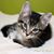 Dawn Wollin-Fischer's profile image