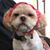 Judy Holzhauser Gregg's profile image