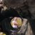 Ali Javidfar's profile image