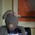 Bertie TheRat's profile image