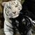 Sue Sutherly's profile image