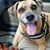 Cindy R. Barone's profile image