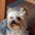 Barb Delaney's profile image