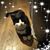Sally Addison's profile image