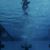 Tim Sansom's profile image