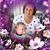 Jackie Wallace's profile image