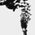 Kari S Hokama-Hamachi's profile image