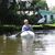 Darlene Beganics's profile image