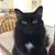 Debbie Stiles's profile image