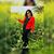 Shalini Tyagi's profile image